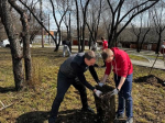 Депутаты думы Иркутска из Ленинского и Октябрьского районов приняли участие в субботнике