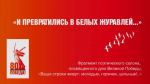Фото статьи