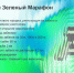 В Иркутске Зелёный Марафон состоится 31 мая  - IrkutskMedia.Ru