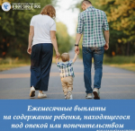 Ежемесячные выплаты на содержание ребенка, находящегося под опекой или попечительством