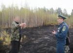 Самовольный пал сухостоя уничтожил пять гектаров леса в Зиминском районе