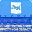 Жители Иркутской области получают налоговые вычеты за занятия спортом - ИА Альтаир