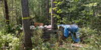 13 га земли Прибайкальского нацпарка незаконно передали в частную собственность - IrkutskMedia.Ru