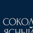 Лучшей книгой года в Иркутской области стал роман Александра Семенова «Сокол ясный» - Baikal24.Ru