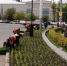Городские клумбы начали украшать цветами в Иркутске - ИА ИркСиб