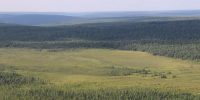 Лес. Фото пресс-службы правительства Иркутской области - Irk.Ru