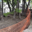 image - Газета Иркутск