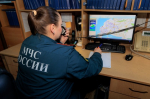 Поджигателей начнут вычислять через космос, предупредило МЧС