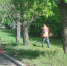 К покосу травы приступили во всех районах Иркутска - ИА ИркСиб