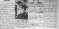 Вахта Победы: пионеров Ставрополья призывают на борьбу с сусликами - IrkutskMedia.Ru