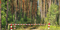 В Иркутской области почти на две недели ввели особый противопожарный режим - Baikal24.Ru