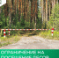 Ограничение на посещение лесов вводится в Иркутской области с 5 июня - Министерство жилищной политики, энергетики, транспорта и связи