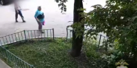 Уголовное дело возбудили после нападения собаки на школьницу в Иркутском районе - IrkutskMedia.Ru