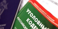 В Иркутском районе из-за нападения собаки на школьницу возбуждено уголовное дело - ИА Альтаир