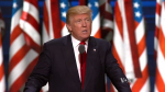 Трамп ищет "поджигателей" Калифорнии: кто стоит стоит за спланированным мятежом