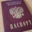Вручение паспортов - Избирательная комиссия
