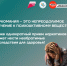 . - Перинатальный центр