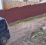 В Смоленщине мужчина застрелил собаку (Видео) - Weacom.Ru