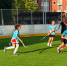 В Иркутске на новом корте с искусственным покрытием состоялся первый турнир по хоккею на траве - ИА Альтаир