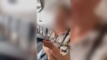 В Иркутске аферисты под видом замены домофона почти загнали пенсионерку в долговую яму