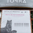 Три молодежных пространства «ТОЧКА» откроют в разных районах Иркутска до конца года - Сибирские новости