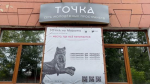 Три молодежных пространства «ТОЧКА» откроют в разных районах Иркутска до конца года