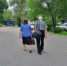 Новый способ увеличить пенсию: как проверить стаж и исправить ошибки в расчетах - IrkutskMedia.Ru