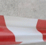 Уже 15 случай бешенства выявили в Алтайском крае - Baikal24.Ru