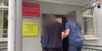 Подозреваемого в убийстве 20-летней девушки в Шелеховском районе арестовали - SIA.RU