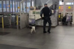 Двухлетняя девочка утонула в домашнем бассейне в Баяндае Приангарья