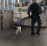 Трое детей выпали из окон в городах Иркутской области в конце минувшей недели - IrkutskMedia.Ru