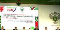 В Иркутске обсуждают методы защиты лесов на международной конференции - Baikal24.Ru