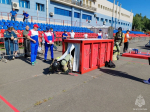 Огнеборцы Иркутской области представили Сибирь на Всероссийском этапе конкурса «Лучшее звено газодымозащитной службы» и завоевали «серебро»