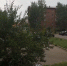 В Иркутской области 22 и 23 июля ожидаются ливни и грозы - КП-Иркутск