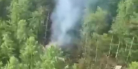 Обломки самолета в лесу. Скриншот видео МЧС России - Irk.Ru