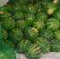 В Иркутскую область ввезли более 350 тонн арбузов из Казахстана - КП-Иркутск