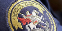 В Нижнеудинском районе участились случаи нападения беспризорных собак на детей - ИА Альтаир