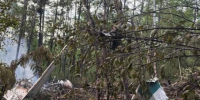 В авиакатастрофе в Амурской области погиб житель Кемерова - Baikal24.Ru