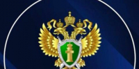 Летевший из Новосибирска в Сочи самолет вернулся в аэропорт вылета - Baikal24.Ru