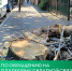 По обращению на Платформу обратной связи в центре Иркутска спилили аварийное дерево - Министерство жилищной политики и энергетики
