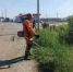 Мэр Иркутска распорядился ежедневно убирать дороги, тротуары, остановки и косить траву - Baikal24.Ru