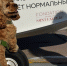 Собака-штурман участвовала в экспедиции "Вызов Арктики" - IrkutskMedia.Ru