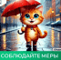Соблюдайте меры безопасности при сильном дожде - Министерство жилищной политики и энергетики