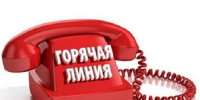 Выборы-2025: работает горячая линия связи с избирателями - ИА Альтаир