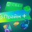 Жители Бурятии за 2024 и 2025 год все больше выбирают подписки СберПрайм и СберПрайм+ - Baikal24.Ru