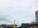 В Кузбассе утвердили порядок учёта домашних животных