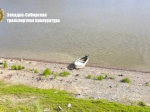 Один человек погиб в результате опрокидывания лодки у томского села Парабель