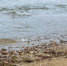 Водоем. Фото из архива IRK.ru - Irk.Ru