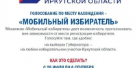 Свыше пяти тысяч жителей Приангарья подали заявления в «Мобильный избиратель» - ИА ИркСиб