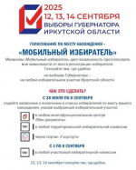 Свыше пяти тысяч жителей Приангарья подали заявления в «Мобильный избиратель»